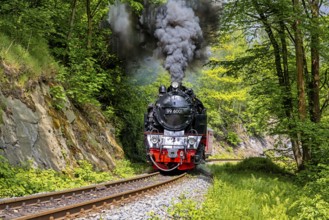 Selketalbahn Railway Romanticism in the Selketal Harz Mountains