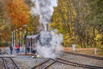Railway Romanticism in the Selketal Harz Selketal Railway