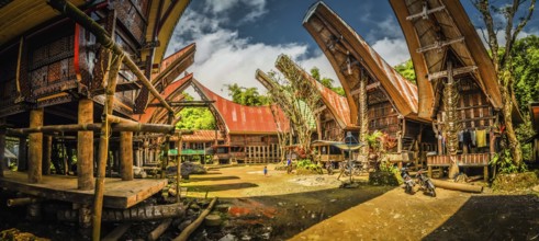 Sulawesi, Indonesia, May 2015: Photo of tongkonans, traditional ancestral houses with boat-shaped
