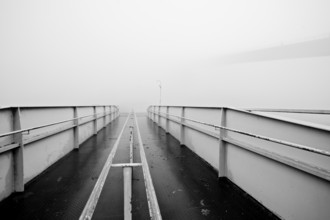 Foggy autumn day in the n