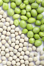 Fresh green and dried peas with cropping frame on white background