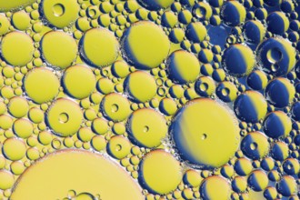 Colorful abstract macro background with oil drops in water