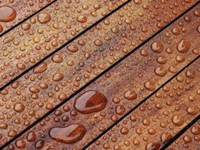 Water drop