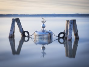 Device with wine swimming in a lake in Burgenland