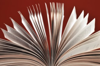 Composition with book on the table