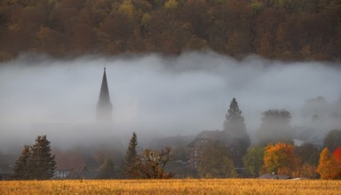 Güntersberge Harz Selketal in Autumn