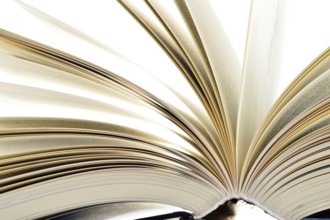 Composition with hardcover books in the library