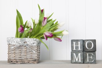 Vase white tulips at home in interior