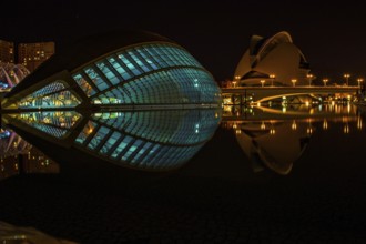 City of Arts and Sciences or Ciudad de las Artes y las Ciencias in Valencia at night