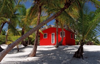 Colourful chalet on the beach, Catalina Island, Caribbean, Dominican Republic, Central America