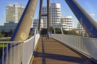 The bridge and the O'Gehry buildings