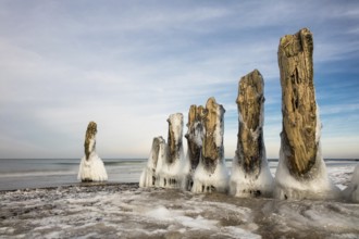 Winter on the coast of the Baltic Sea