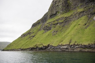Landscape on the Faroe Islands with ocean, cliffs, and sheep, Faroe Islands, Europe
