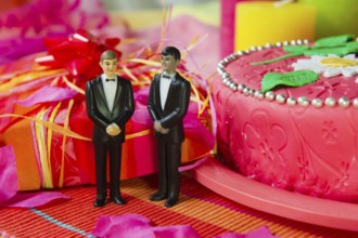 Wedding gay couple in front of a cake in pink still life