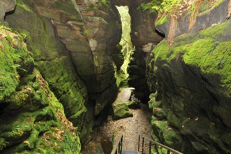 Devil's chamber, in Uttewalder Grund, Saxon Switzerland