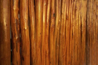Wood sticks in a row texture from Mexico fence wall