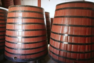 Natural wood wine golden barrel cellar in Spain