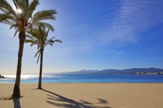 Cullera Playa los Olivos beach in Mediterranean Valencia at Spain
