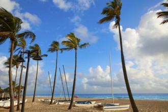Fort Lauderdale beach morning sunrise in Florida USA palm trees