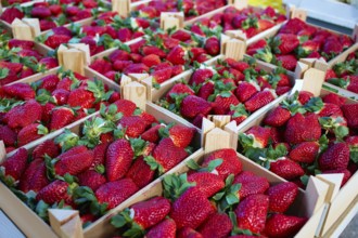 Strawberries boxes baskets texture in outdoor market