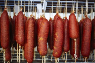 Sobrasada of Mallorca typical sausage in Balearic Islands of Spain