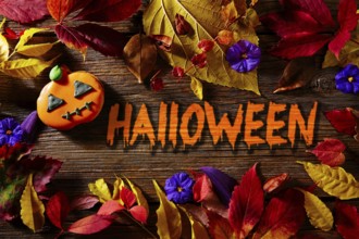 Halloween written word in pumpkin fall background with autumns red golden leaves