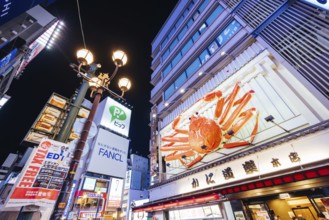 OSAKA, JAPAN - SEPTEMBER 24 2024: Osaka's famous Dotonbori area with many restaurants and iconic