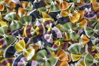 Colourful butterfly noodles, full-size