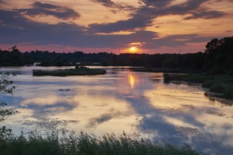 Garstadt bird sanctuary, district of Schweinfurt, Lower Franconia