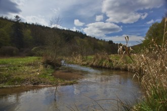 NSG Hafenlohrtal, Spessart