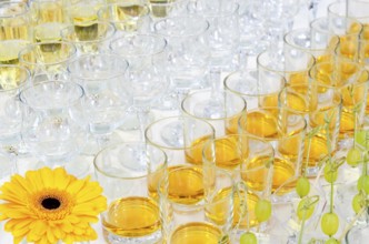 A lot of drinks on buffet table, catering