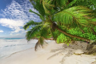 The Beach Anse Georgette at Praslin Island, Seychelles, Indian Ocean, Africa