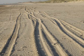 Parallel tire tracks crossing a sandy beach towards dunes on a sunny day