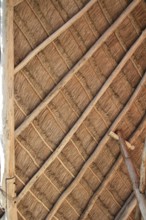 Perfect palapa tropical Mexico wood cabin roof detail
