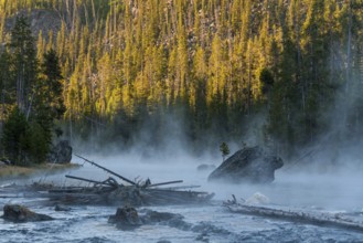 Early morning at a quiet river, fog is rising, Yellowstone National Park, USA, North America