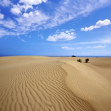 Corralejo dunes Fuerteventura desert at Canary Islands of Spain