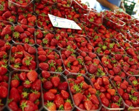 Strawberry store in the street market in Germany, Hamburg