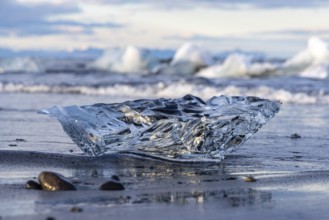 Evening at Diamond beach, Jökulsarln, south coast, Iceland, Europe