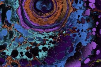 Ebru marble conch effect surface pattern design for print