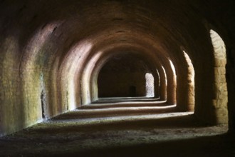 Light falls through arched niches into a tunnel-like cellar wall