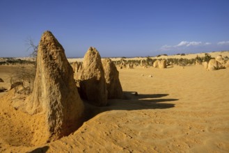 An image of the Pinnacles sand desert Western Australia