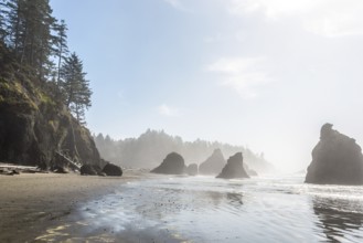 Famous Ruby Beach on the Pacific coast, Olympic National Park, USA, North America