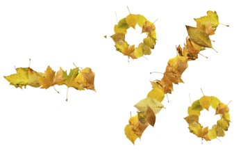 Percents sign made of autumn leaves. White isolated. Sales conseption