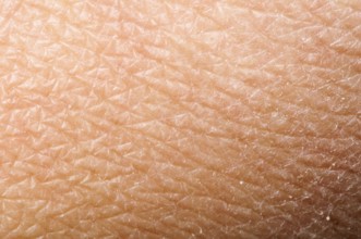 Human skin close up. Structure of Skin