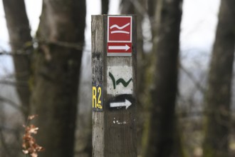 Markings for the Rothaarsteig, Westerwaldsteig and R2 hiking trails on the Fuchskaute, the highest