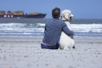 Woman sits together with her dog, a white poodle, amicably familiar on the beach in the sunshine,
