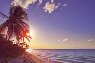 Holbox island sunset beach palm tree tropical in Mexico