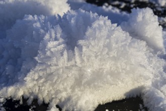 Ice crystals as a result of the crystallization of moisture in the air
