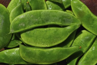 Garrofon mediterranean beans Phaseolus lunatus fresh on wood