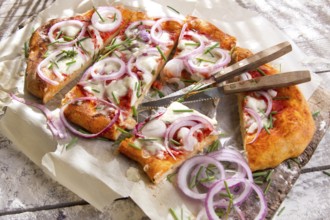 Freshly baked pizza with red onion and mozzarella